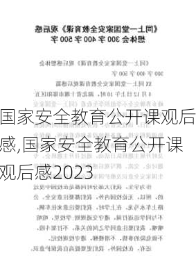 国家安全教育公开课观后感,国家安全教育公开课观后感2023-第3张图片-二喜范文网