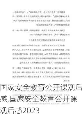 国家安全教育公开课观后感,国家安全教育公开课观后感2023-第2张图片-二喜范文网