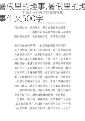 暑假里的趣事,暑假里的趣事作文500字-第1张图片-二喜范文网