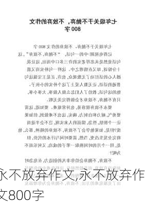 永不放弃作文,永不放弃作文800字-第2张图片-二喜范文网