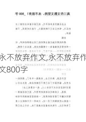 永不放弃作文,永不放弃作文800字-第1张图片-二喜范文网