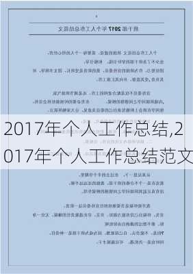 2017年个人工作总结,2017年个人工作总结范文-第2张图片-二喜范文网