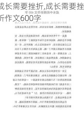 成长需要挫折,成长需要挫折作文600字-第3张图片-二喜范文网