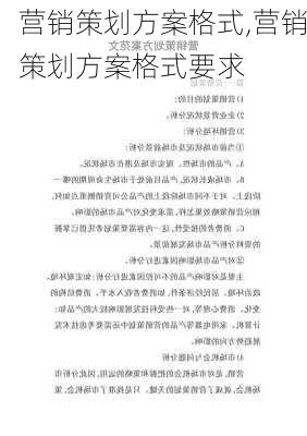 营销策划方案格式,营销策划方案格式要求-第3张图片-二喜范文网