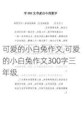 可爱的小白兔作文,可爱的小白兔作文300字三年级-第3张图片-二喜范文网