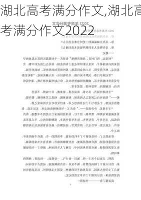 湖北高考满分作文,湖北高考满分作文2022