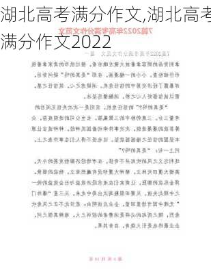 湖北高考满分作文,湖北高考满分作文2022-第2张图片-二喜范文网