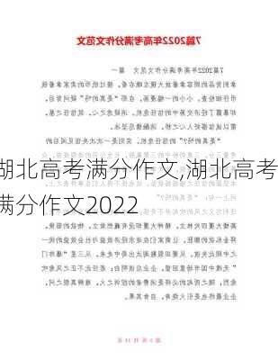 湖北高考满分作文,湖北高考满分作文2022-第3张图片-二喜范文网