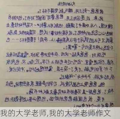 我的大学老师,我的大学老师作文-第3张图片-二喜范文网