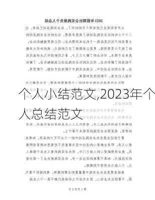 个人小结范文,2023年个人总结范文-第2张图片-二喜范文网