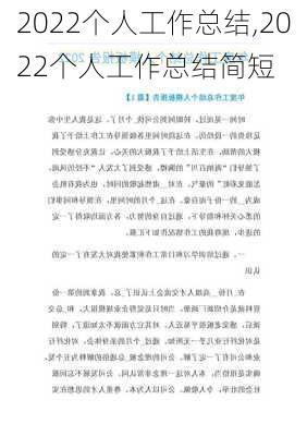 2022个人工作总结,2022个人工作总结简短-第2张图片-二喜范文网