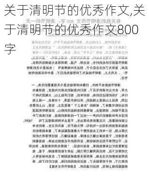 关于清明节的优秀作文,关于清明节的优秀作文800字-第3张图片-二喜范文网