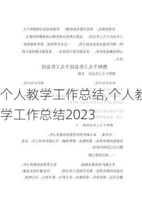 个人教学工作总结,个人教学工作总结2023-第1张图片-二喜范文网