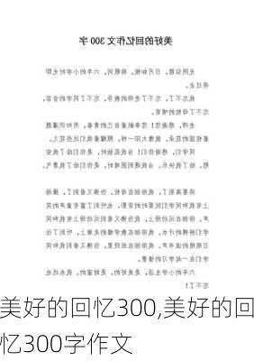 美好的回忆300,美好的回忆300字作文-第1张图片-二喜范文网