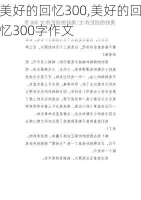 美好的回忆300,美好的回忆300字作文-第2张图片-二喜范文网