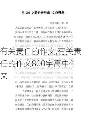 有关责任的作文,有关责任的作文800字高中作文-第3张图片-二喜范文网