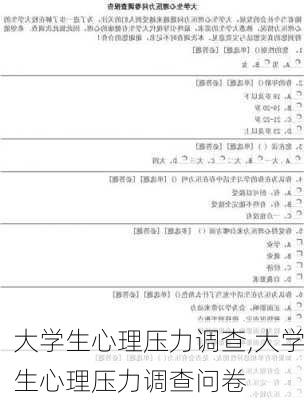 大学生心理压力调查,大学生心理压力调查问卷-第3张图片-二喜范文网