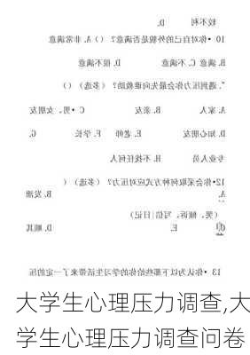 大学生心理压力调查,大学生心理压力调查问卷-第2张图片-二喜范文网