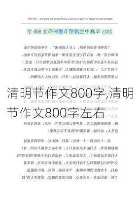 清明节作文800字,清明节作文800字左右-第3张图片-二喜范文网