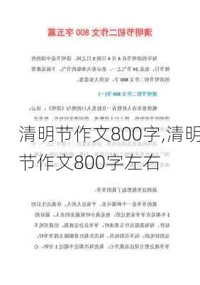 清明节作文800字,清明节作文800字左右-第2张图片-二喜范文网