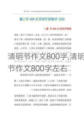 清明节作文800字,清明节作文800字左右-第1张图片-二喜范文网