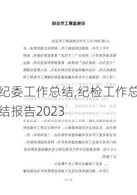 纪委工作总结,纪检工作总结报告2023-第1张图片-二喜范文网