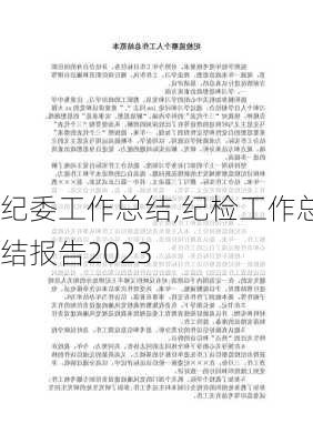 纪委工作总结,纪检工作总结报告2023-第2张图片-二喜范文网