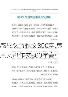 感恩父母作文800字,感恩父母作文800字高中-第1张图片-二喜范文网