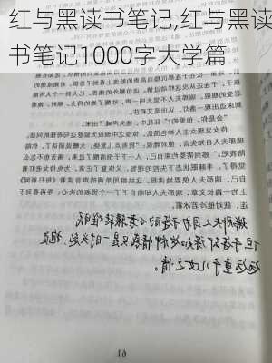 红与黑读书笔记,红与黑读书笔记1000字大学篇-第3张图片-二喜范文网