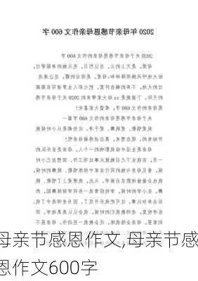 母亲节感恩作文,母亲节感恩作文600字-第3张图片-二喜范文网