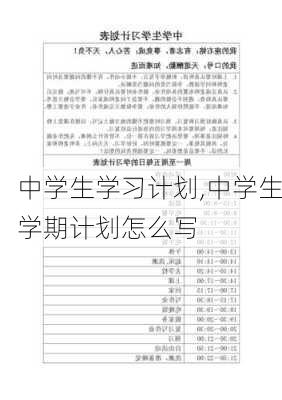 中学生学习计划,中学生学期计划怎么写-第3张图片-二喜范文网