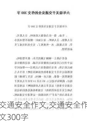 交通安全作文,交通安全作文300字-第3张图片-二喜范文网