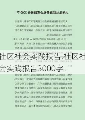 社区社会实践报告,社区社会实践报告3000字-第1张图片-二喜范文网