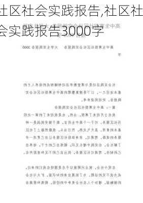 社区社会实践报告,社区社会实践报告3000字-第2张图片-二喜范文网