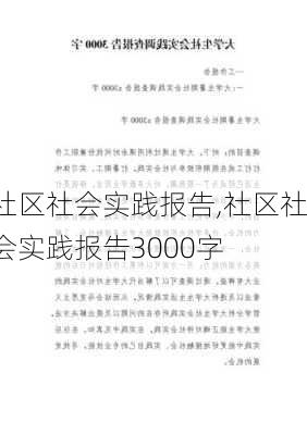 社区社会实践报告,社区社会实践报告3000字-第3张图片-二喜范文网