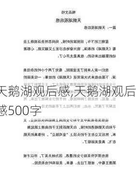 天鹅湖观后感,天鹅湖观后感500字-第1张图片-二喜范文网