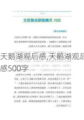 天鹅湖观后感,天鹅湖观后感500字-第3张图片-二喜范文网