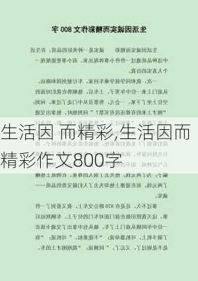 生活因 而精彩,生活因而精彩作文800字-第2张图片-二喜范文网