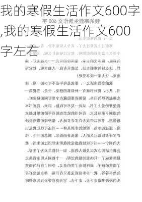 我的寒假生活作文600字,我的寒假生活作文600字左右-第2张图片-二喜范文网