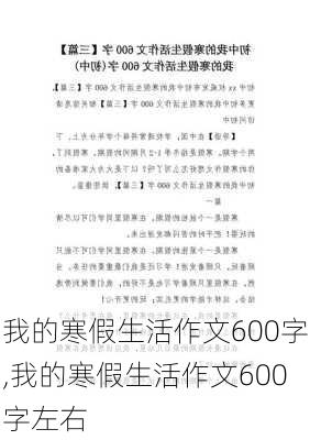 我的寒假生活作文600字,我的寒假生活作文600字左右-第1张图片-二喜范文网