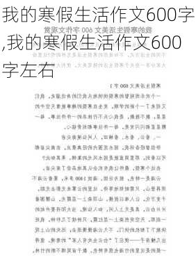 我的寒假生活作文600字,我的寒假生活作文600字左右-第3张图片-二喜范文网