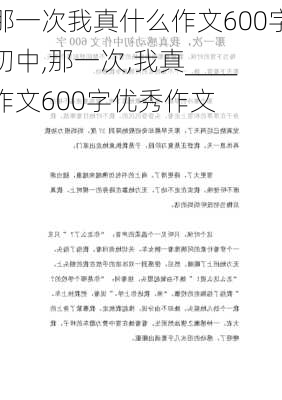 那一次我真什么作文600字初中,那一次,我真____作文600字优秀作文-第2张图片-二喜范文网