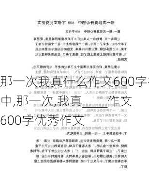 那一次我真什么作文600字初中,那一次,我真____作文600字优秀作文-第1张图片-二喜范文网