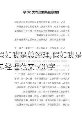 假如我是总经理,假如我是总经理范文500字-第3张图片-二喜范文网