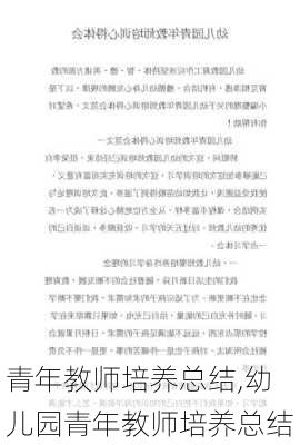 青年教师培养总结,幼儿园青年教师培养总结-第2张图片-二喜范文网