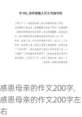 感恩母亲的作文200字,感恩母亲的作文200字左右-第3张图片-二喜范文网