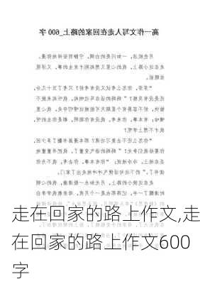 走在回家的路上作文,走在回家的路上作文600字-第2张图片-二喜范文网