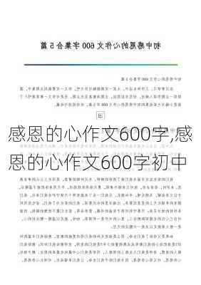 感恩的心作文600字,感恩的心作文600字初中-第2张图片-二喜范文网