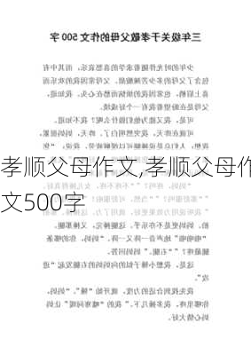 孝顺父母作文,孝顺父母作文500字-第2张图片-二喜范文网