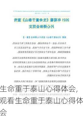 生命重于泰山心得体会,观看生命重于泰山心得体会-第2张图片-二喜范文网